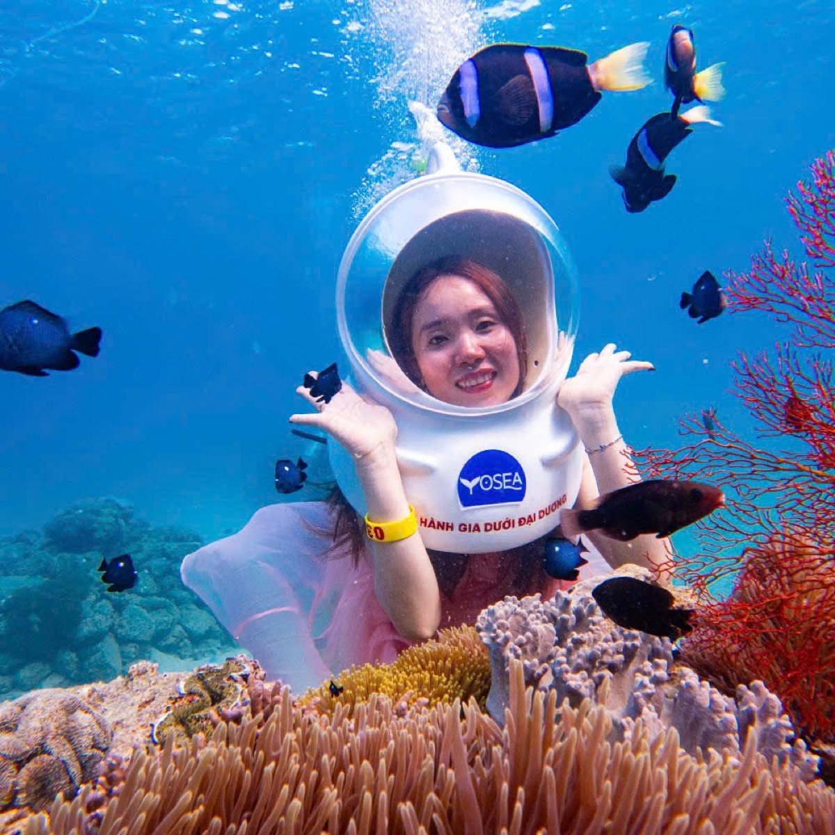 Nha Trang Hòn Mun VIP Tour - Blue Islands Tours excursion